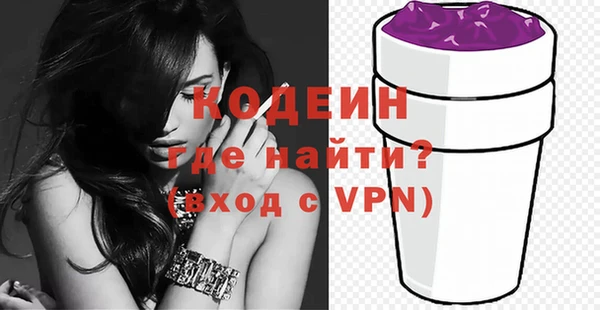 гашик Карпинск