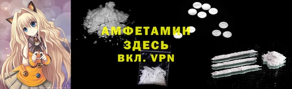 гашик Карпинск