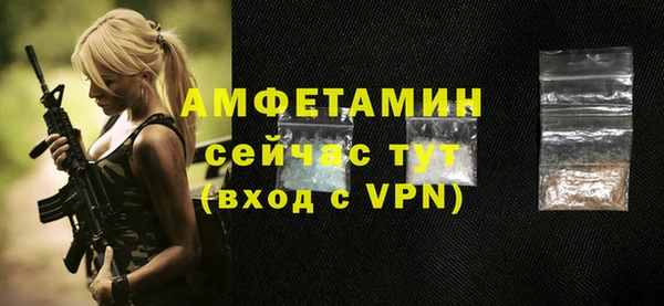 гашик Карпинск