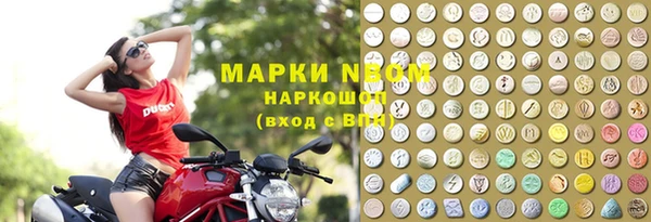 гашик Карпинск