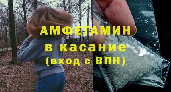 гашик Карпинск