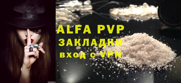 гашик Карпинск