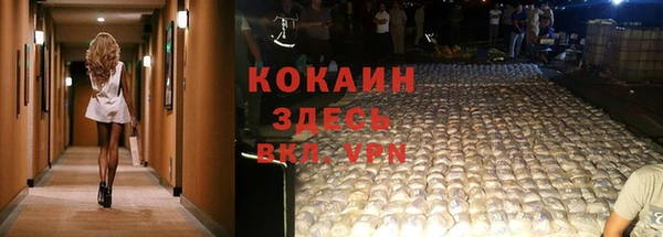гашик Карпинск